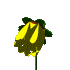 kukat animoituja-kuvia-gif